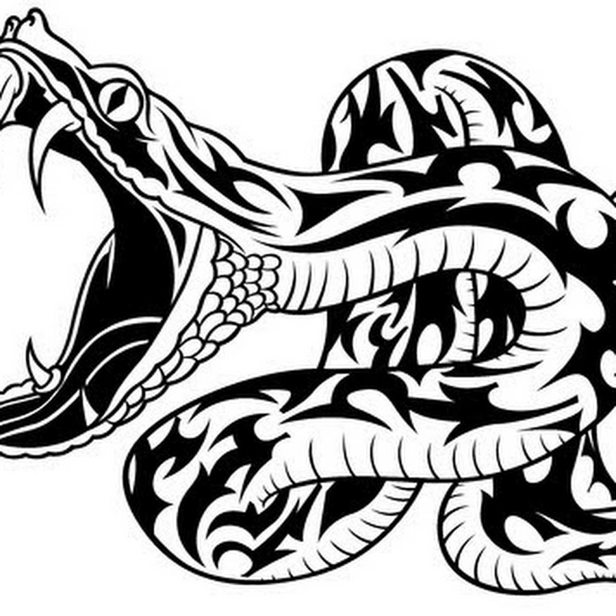 rattlesnake drawing -... ❤ liked on Polyvore featuring fillers, art, backgrounds