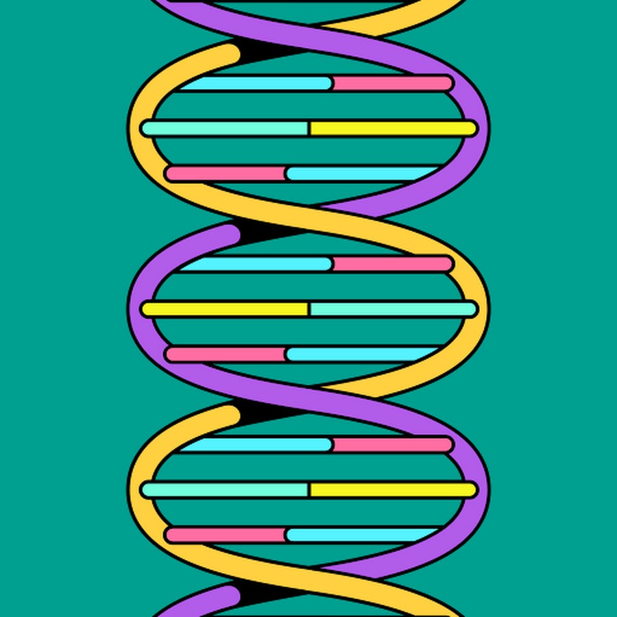 大島良平 Youtube