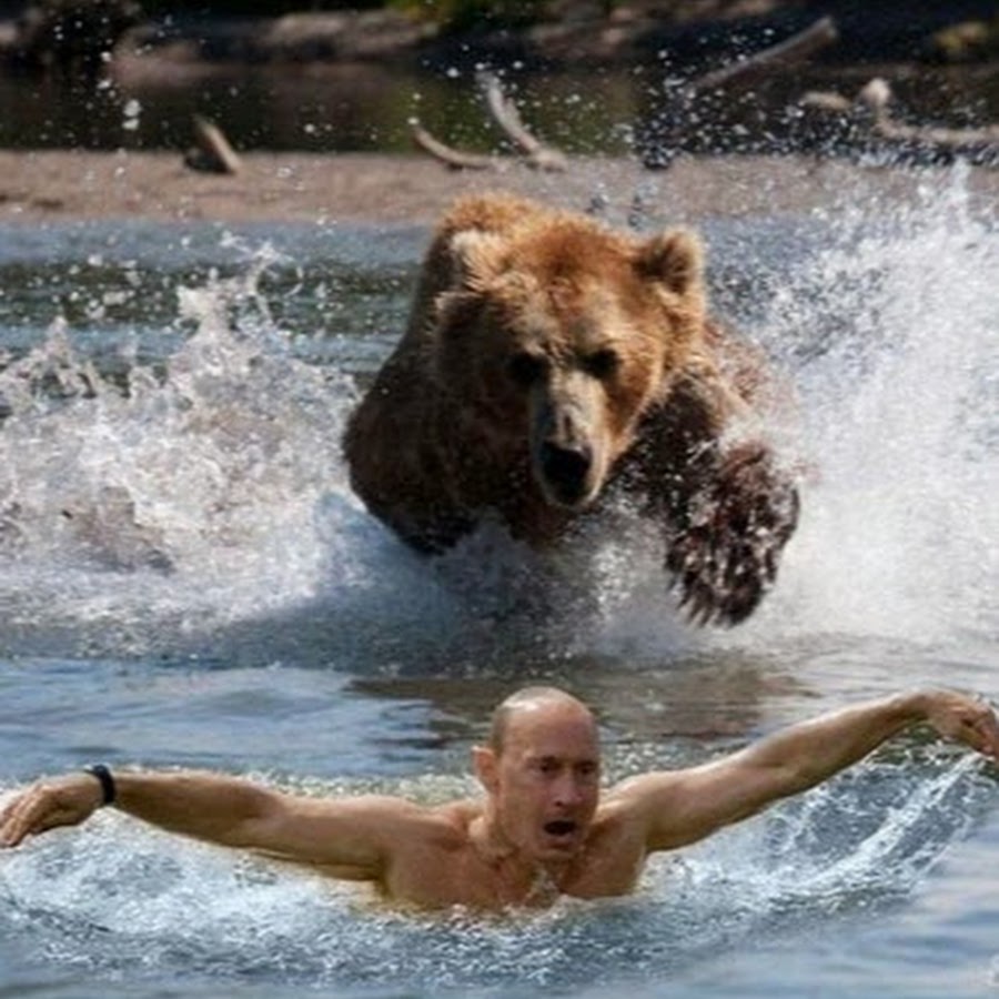Путин Владимир Владимирович на медведе