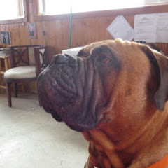 Thumbnail of related channel