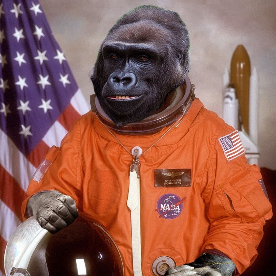 Первая обезьяна полетевшая в космос. Обезьянка космонавт. Обезьяна в скафандре. Обезьяны в космосе. Обезьянка в костюме Космонавта.