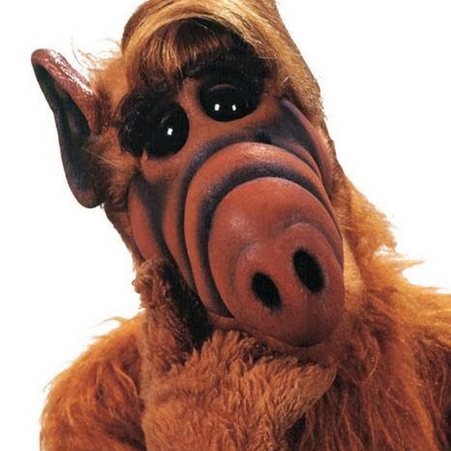 Альф фото из сериала картинки альфа