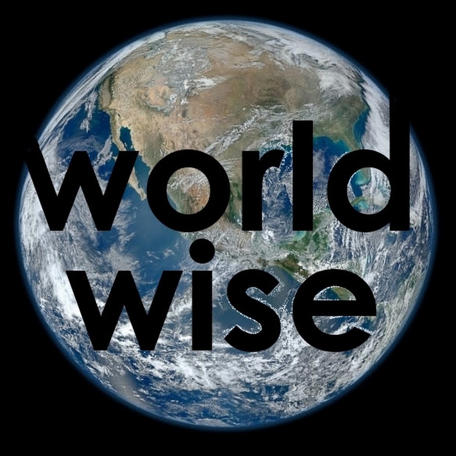 World wise. Good work studio. Wise logo. World wise. World wise.