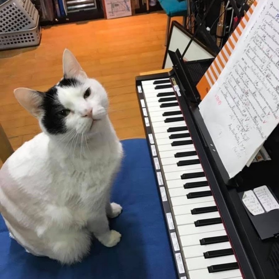 R Cafe アールカフェ 広島 Youtube