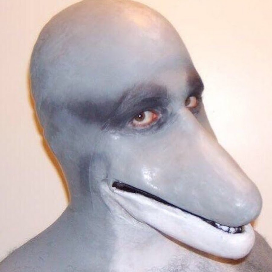 Действительно ли дельфинам нужна пресная вода. Если да, то как они ее добывают,