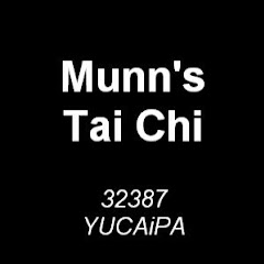Munn's Tai Chi Avatar