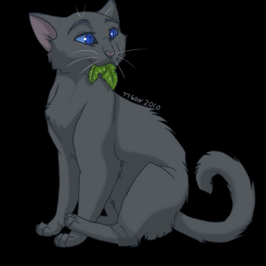 Коты воители картинки пепелица