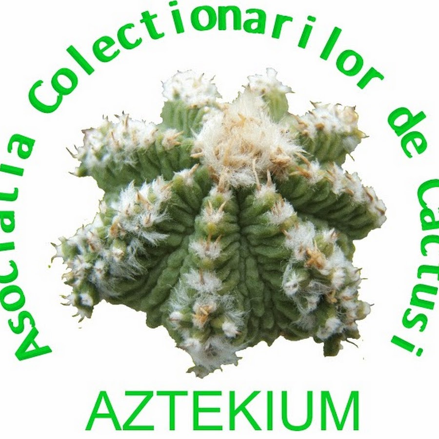 День кактусовода 23 апреля картинки