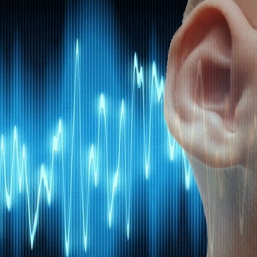 звуковая волна в ухе. звук человеческое ухо. звук человеческое ухо. ухо и звуковые волны. звук человеческое ухо.