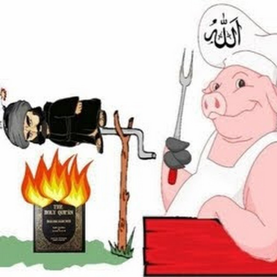 Запрет есть свинину в коране. Перечеркнутая свинья. Почему свинина запрещена. Почему не едят свинину причины. Грязные свиньи в свинарнике.