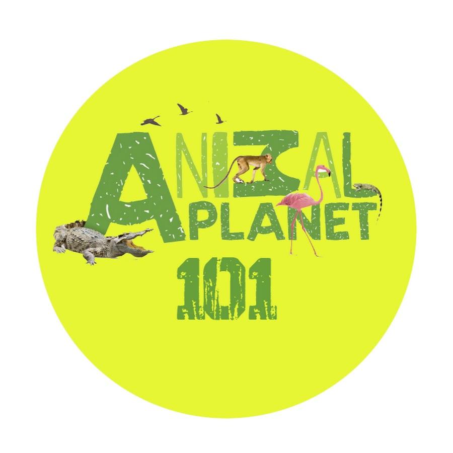 Энимал планет. Планета животных animal planet. Энимал планет. Энимал планет логотип. Энимал планет.