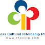 The Cross Cultural Internship Program - CCIP YouTube Profile Photo