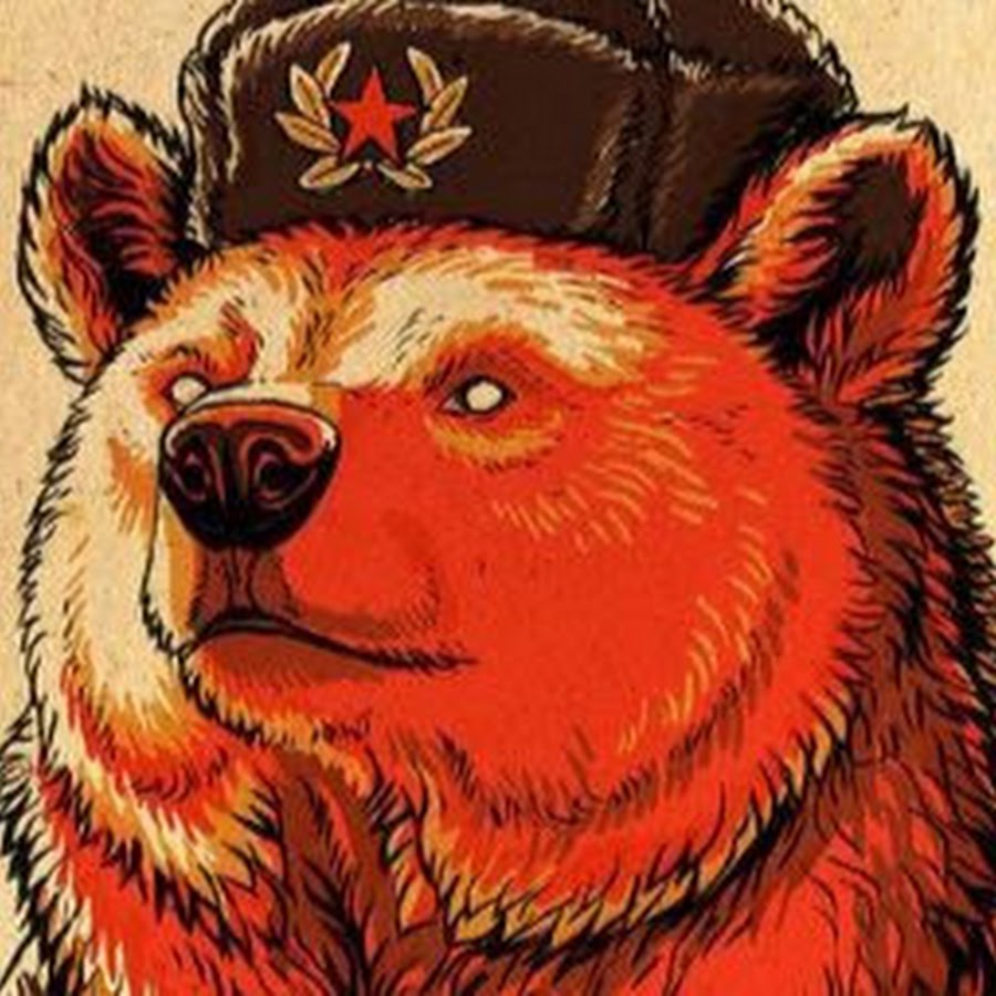Медведь ред Алерт