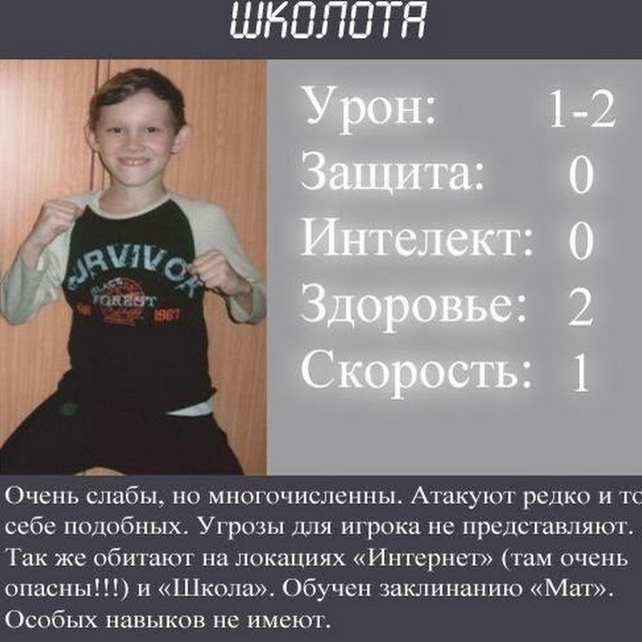 Характеристики школоты