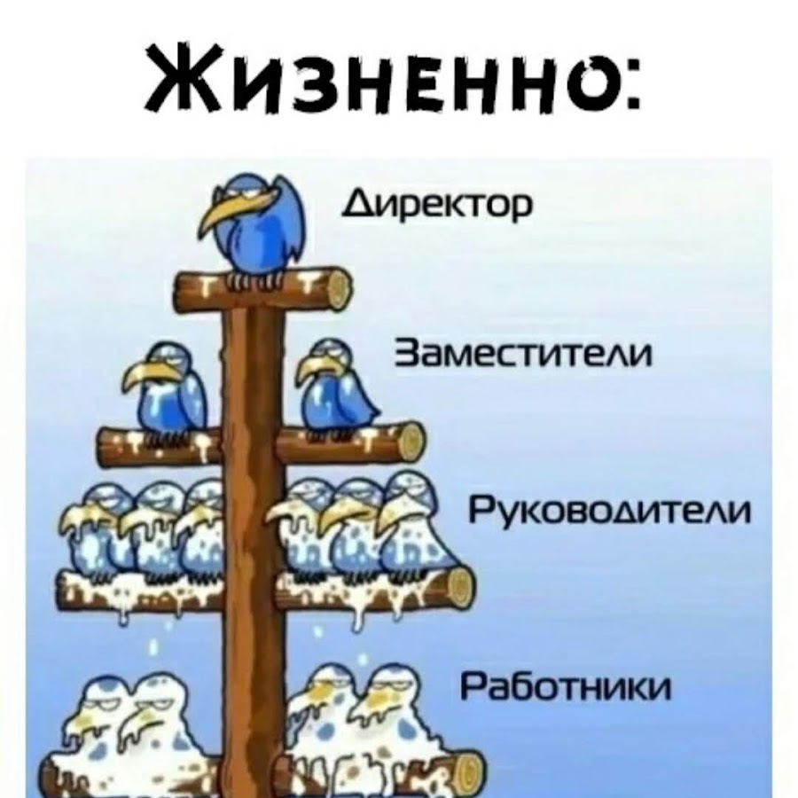 Карьерная лестница птицы