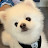 【아침TV】세젤귀 아침이