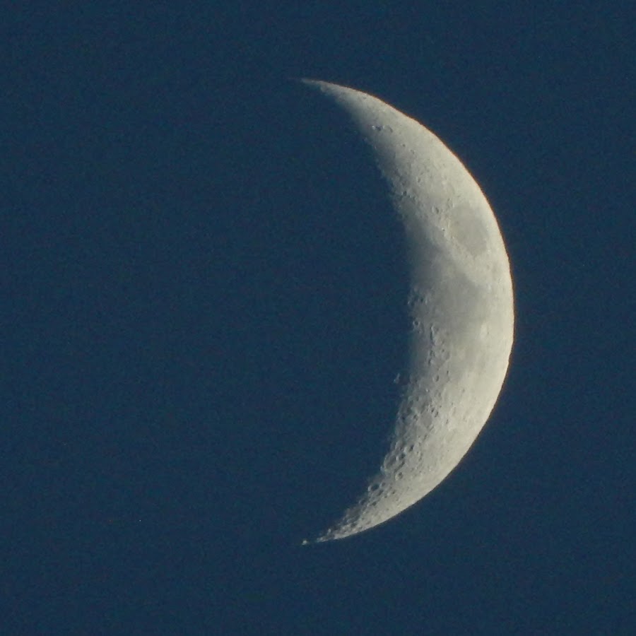 Mond mond ja ja. Mond mond ja ja. Zeke mond. Mond mond ja ja перевод. Mond mond ja ja.