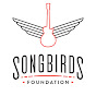 Songbirds Foundation YouTube Profile Photo
