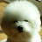 MinGoo Choi