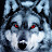 Wolfy 111