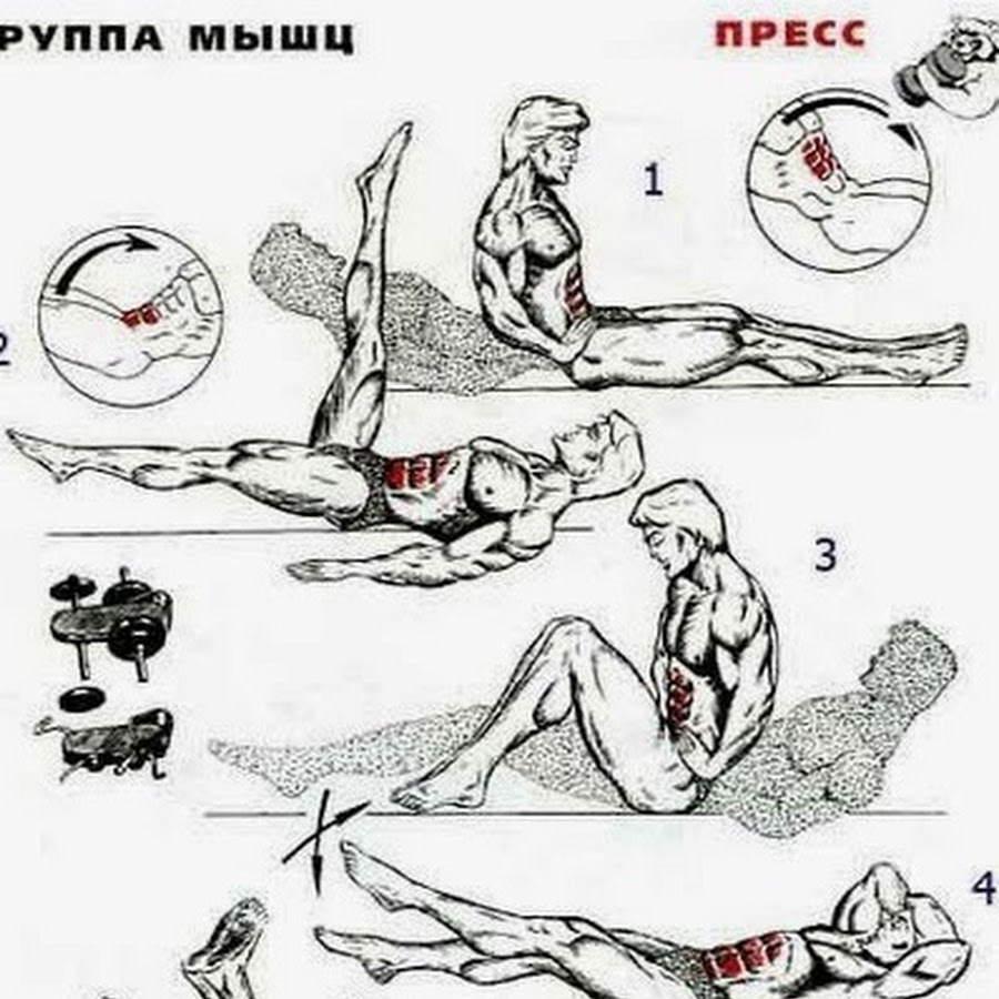 Как быстро накачать пресс в домашних условиях мужчине. Схема тренировок для рельефа пресса. Упражнения для мышц пресса. Упражнения для накачки пресса. Как быстро сделать пресс.