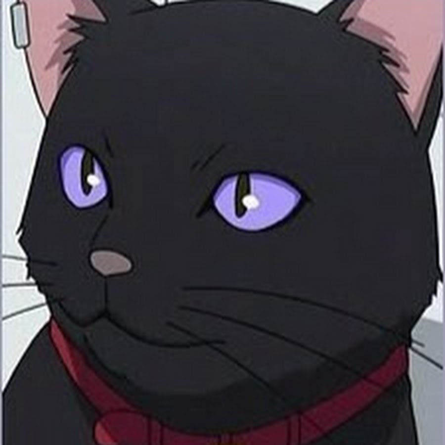 Black mao. Кукла пуллип мао. Пуллип исул. Black mao. Темнее черного кот мао.