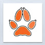 Palmetto State Foxes YouTube Profile Photo