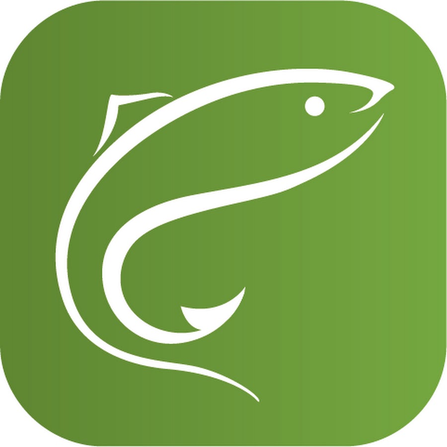Дип над приложение. Fish приложение. Приложение сом пад. Программа fish. Deeplex приложение.