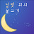 파이시스