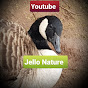 Jello Nature YouTube Profile Photo