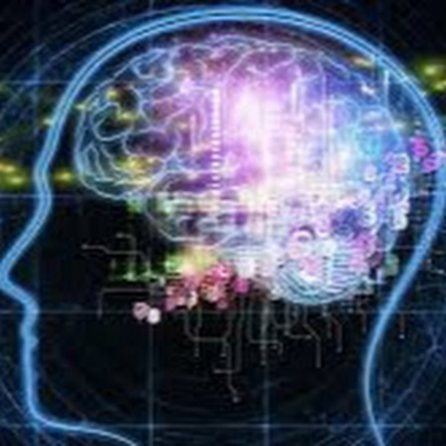 日本一効率的な勉強法 ゴウ Youtube