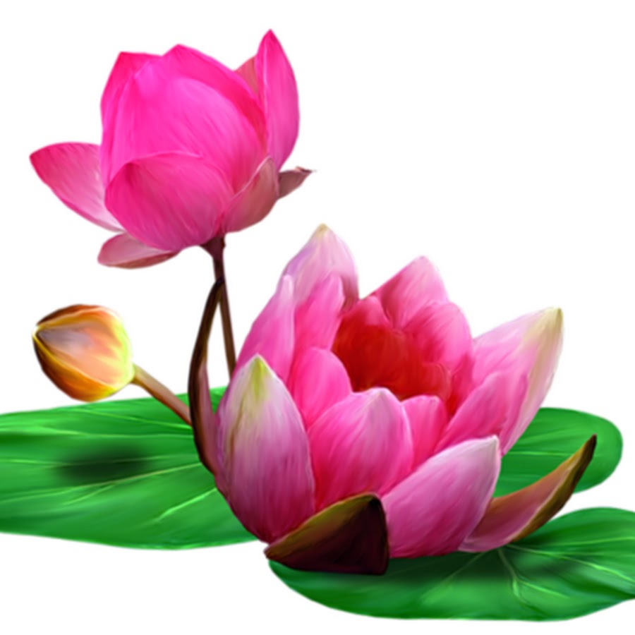 Henry Chen Youtube