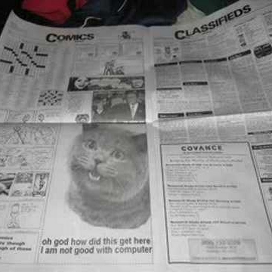 How did you get this. This message. Комиксы про друзей. How do you get to school. How did i get here?.