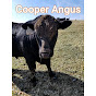 Cooper Angus YouTube Profile Photo
