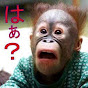 ひなじろう