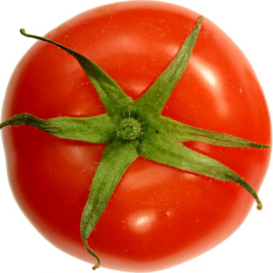 Tomato top. помидор на белом фоне. черри банч. помидор сверху. помидор вид сверху.