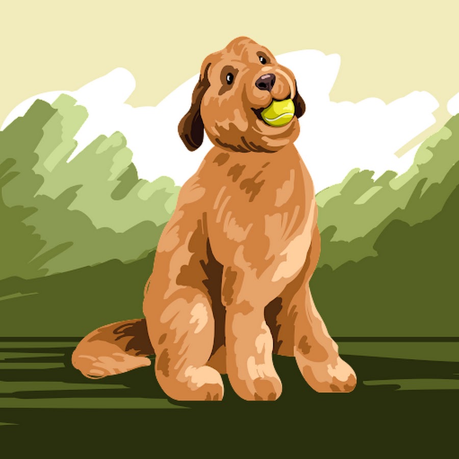 AKedOLSH00WGl_qMoYxBWbvXvFFjRs3Mz33qGul7VyKLg=s900ckc0x00ffffffnorj