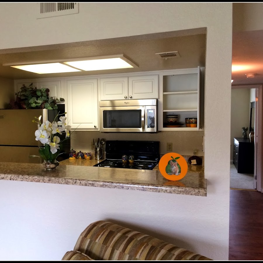 AKedOLSHhW7I4Yegpr_xB5_kZnD8MaI9iE0PgdawRsPv6Q=s900ckc0x00ffffffnorj