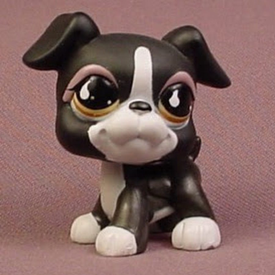 Littlest Pet Shop: Pets 1301 - 1400 Lps pets, Little pets, Lps toys