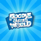 Poodle Mixes World