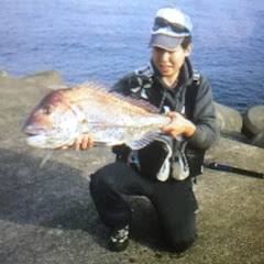 タイピー日記/taipi