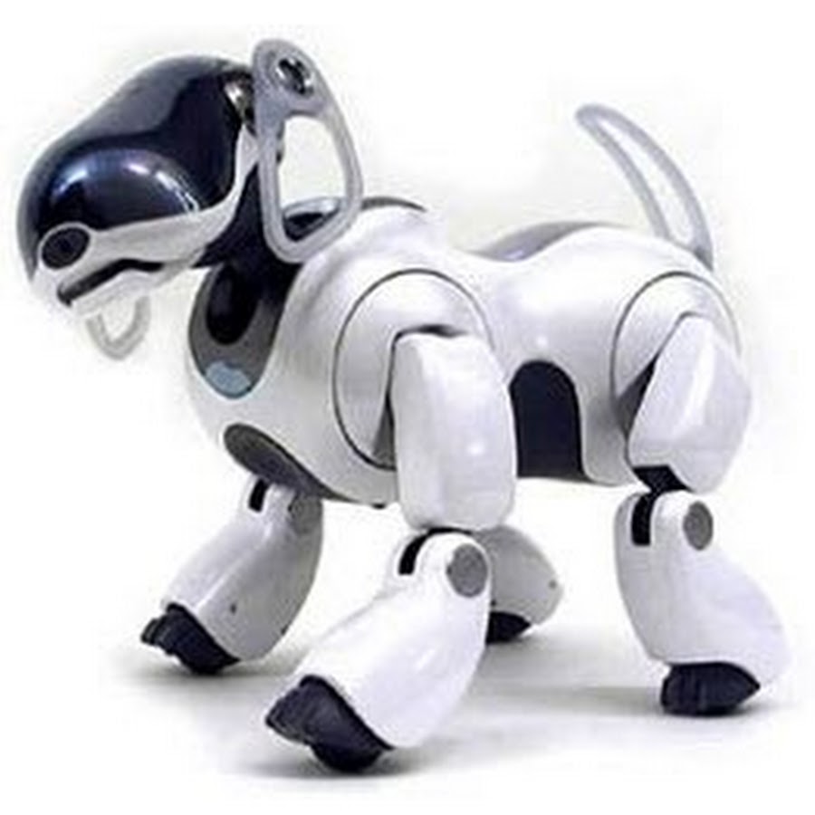 Робот гуляет с собакой. Дрон выгуливает собаку. Человек и собака робот. Необычные роботы. Роботы собаки в китае.