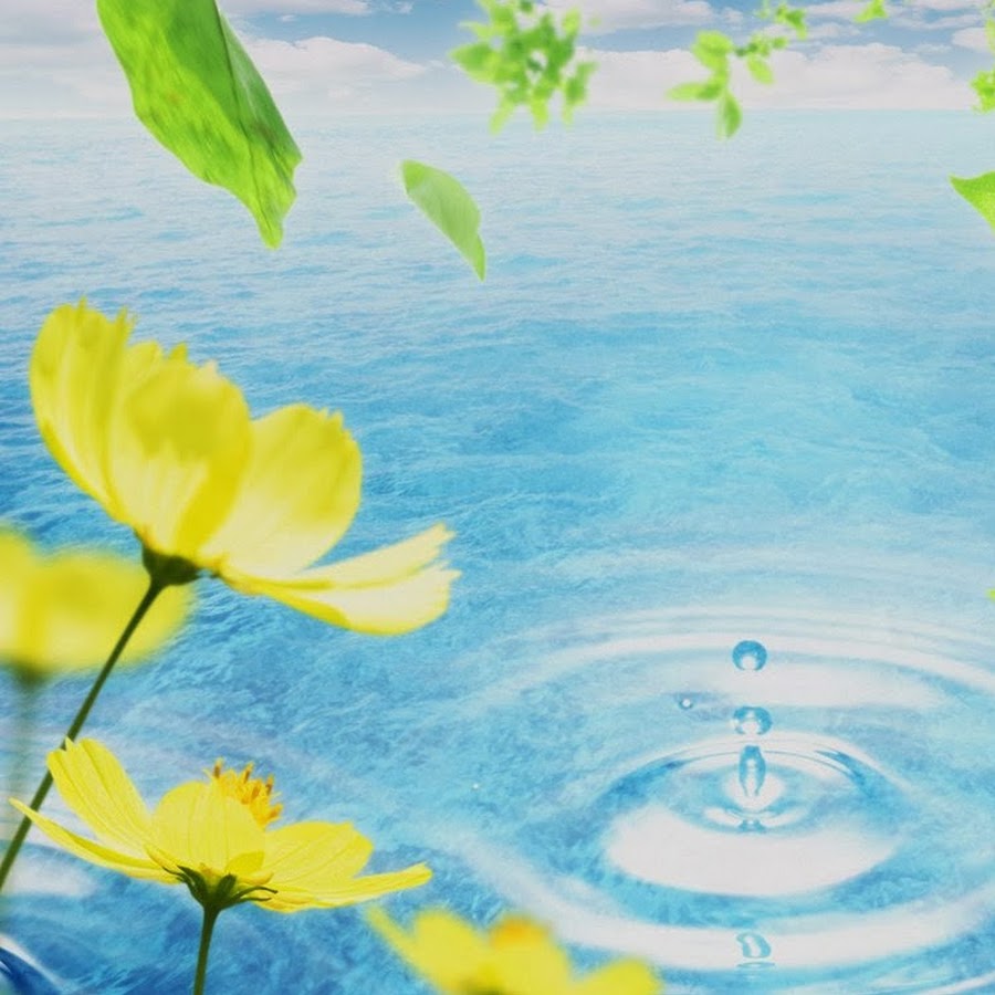 селин дион 2002. Wednesday foto. Quote of the day. A new day has come селин дион. New day new opportunities.