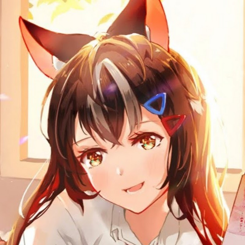 次郎Live - 網紅的藏寶箱 