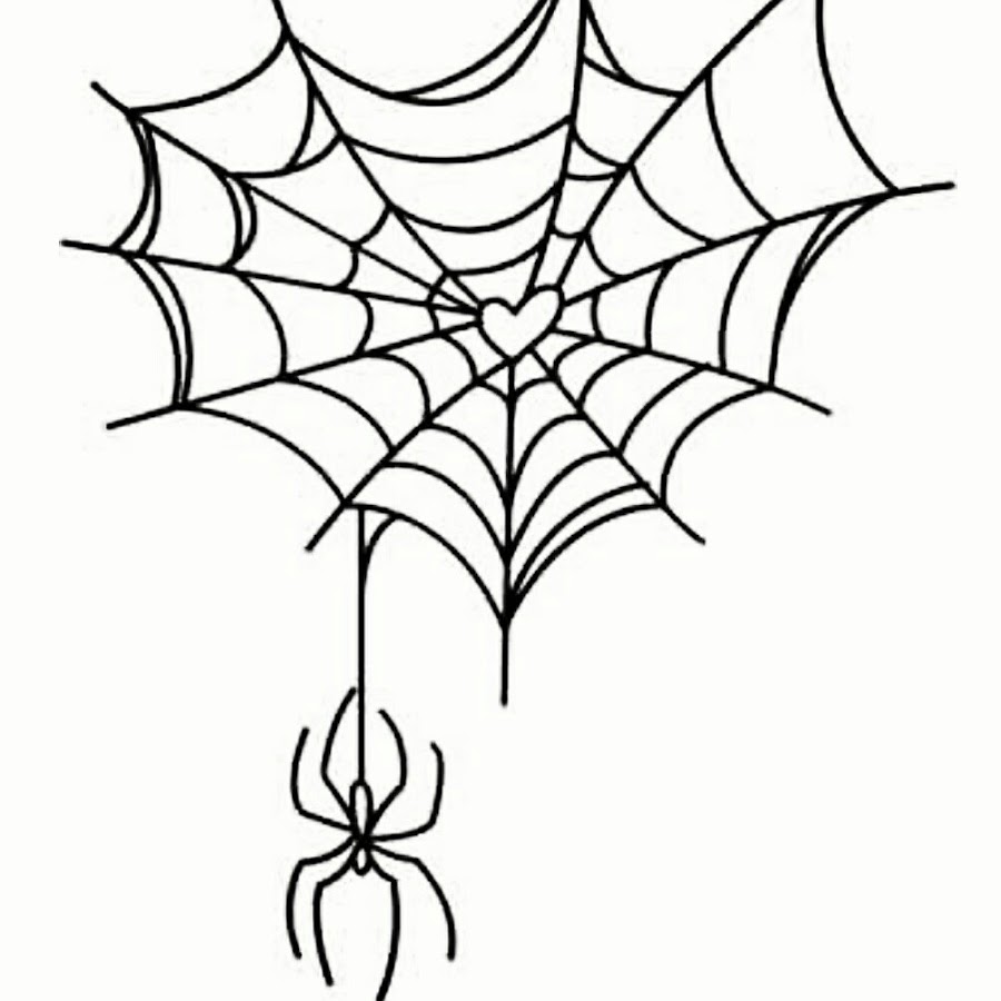 Эскиз паука на паутине