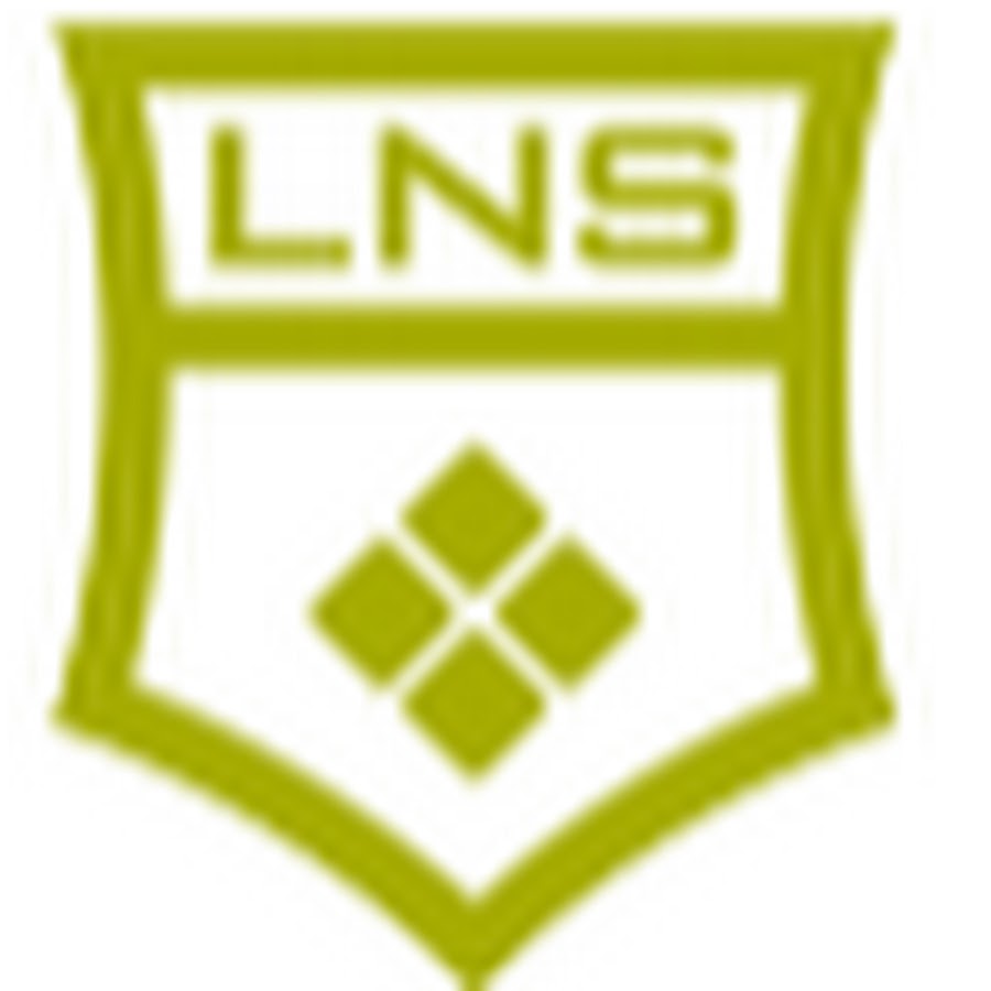 Компания s. Snv. Lns маркетинг. S-shina. Компания s n.