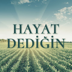 Hayat Dediğin Dizisi thumbnail