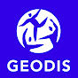 What does GEODIS do?