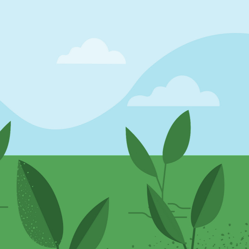 Patrice Chu - 網紅的藏寶箱 