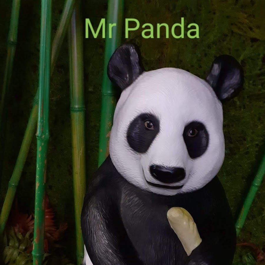 Мистер Панда. Mr Panda. Канал мистер панда